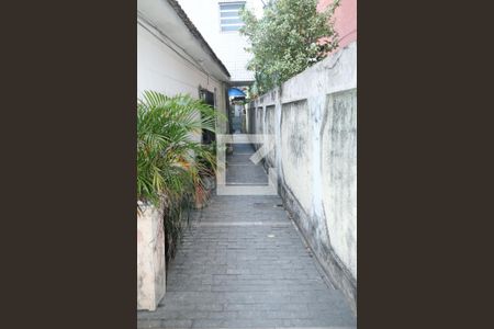 Casa para alugar com 60m², 2 quartos e sem vagaÁrea comum