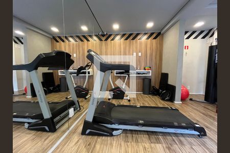 Área comum - Academia de apartamento para alugar com 1 quarto, 26m² em Vila Ema, São Paulo