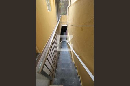 Escada de casa para alugar com 2 quartos, 70m² em Jardim Miriam, São Paulo