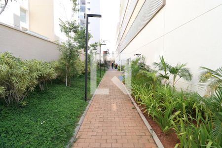 Apartamento para alugar com 50m², 2 quartos e 1 vagaAcademia