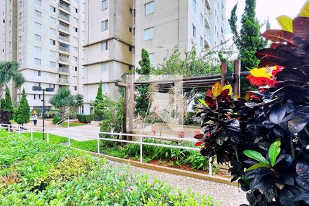 Apartamento para alugar com 47m², 2 quartos e 1 vagaVista do Quarto 1
