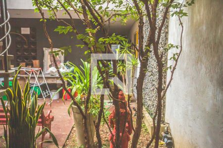 Vista de kitnet/studio para alugar com 1 quarto, 20m² em Vila Clementino, São Paulo