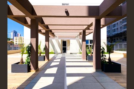 Área comum de apartamento para alugar com 1 quarto, 31m² em Vila Sônia, São Paulo