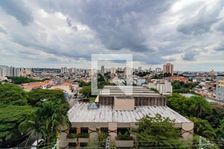 Vista Sala de apartamento para alugar com 2 quartos, 35m² em Vila Mira, São Paulo