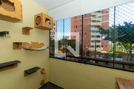 Varanda da Sala de apartamento para alugar com 3 quartos, 70m² em Cambuci, São Paulo