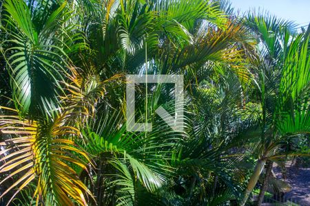 Casa de condomínio à venda com 306m², 3 quartos e sem vaga Casa de condomínio à venda com 306m², 3 quartos e sem vagaVista da suite 2