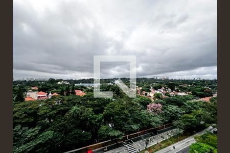 Vista de apartamento para alugar com 1 quarto, 30m² em Santo Amaro, São Paulo