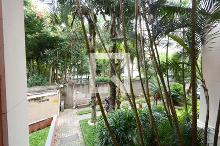 Vista da Sala de apartamento à venda com 3 quartos, 70m² em Jardim Ubirajara, São Paulo