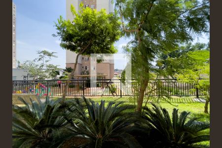 Apartamento para alugar com 44m², 2 quartos e 1 vagaVista Quarto 1