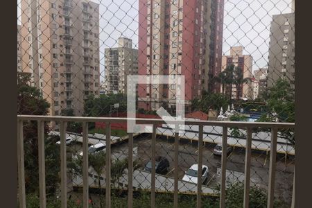 Foto 10 de apartamento à venda com 3 quartos, 72m² em Jardim Celeste, São Paulo