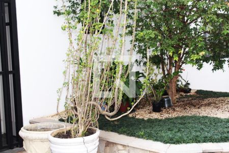 Apartamento para alugar com 77m², 3 quartos e 2 vagasÁrea comum