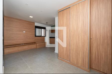 Studio de kitnet/studio para alugar com 1 quarto, 29m² em Vila Santa Catarina, São Paulo