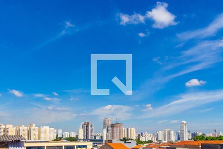 Vista de apartamento para alugar com 1 quarto, 34m² em Vila Ivone, São Paulo