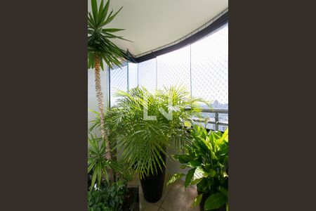 Apartamento à venda com 138m², 3 quartos e 2 vagasVaranda da Sala 1