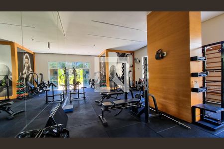 Apartamento para alugar com 223m², 3 quartos e 4 vagasÁrea comum - Academia