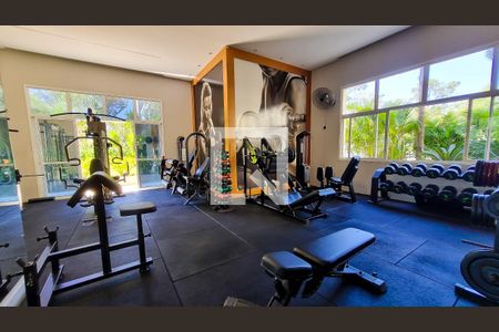 Apartamento para alugar com 223m², 3 quartos e 4 vagasÁrea comum - Academia