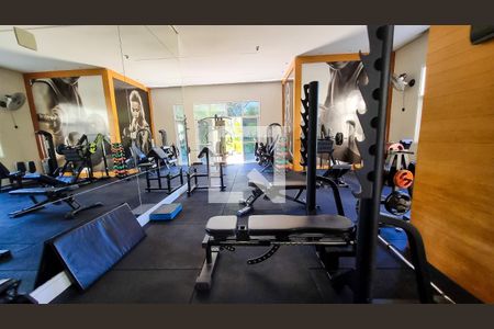 Apartamento para alugar com 223m², 3 quartos e 4 vagasÁrea comum - Academia