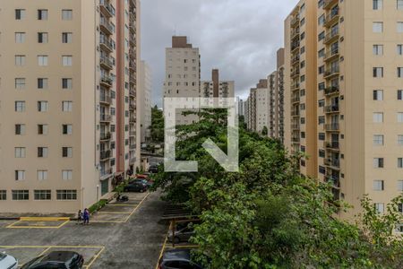 Apartamento à venda com 2 quartos, 81m² em Jardim Umarizal, São Paulo