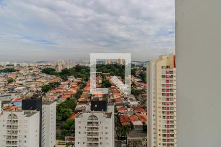 Apartamento à venda com 355m², 3 quartos e 3 vagasQuarto 1 