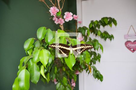 Casa à venda com 322m², 4 quartos e 4 vagas Casa à venda com 322m², 4 quartos e 4 vagasÁrea Externa