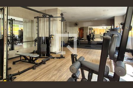 Apartamento para alugar com 90m², 2 quartos e 1 vaga Apartamento para alugar com 90m², 2 quartos e 1 vagaÁrea comum - Academia