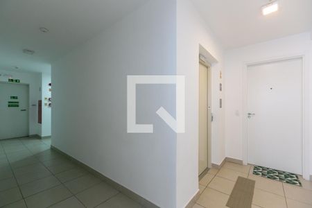 Apartamento para alugar com 41m², 2 quartos e sem vaga Apartamento para alugar com 41m², 2 quartos e sem vagaHall / Elevador