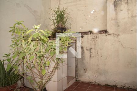 Casa à venda com 240m², 2 quartos e 3 vagas Casa à venda com 240m², 2 quartos e 3 vagasQuintal