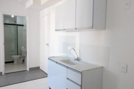 Apartamento para alugar com 35m², 2 quartos e sem vagaCozinha