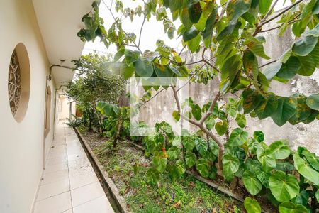 Casa à venda com 300m², 4 quartos e 6 vagasJardim
