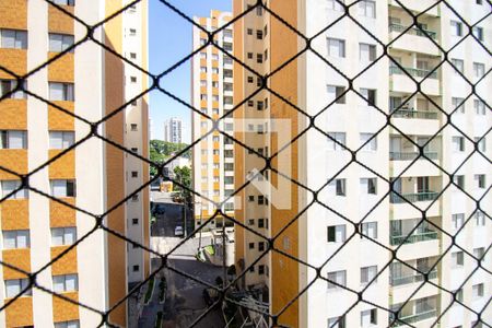 Vista da Suíte de apartamento à venda com 3 quartos, 68m² em Macedo, Guarulhos