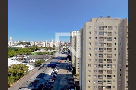 Vista Sala / Quarto de apartamento para alugar com 1 quarto, 33m² em Cambuci, São Paulo