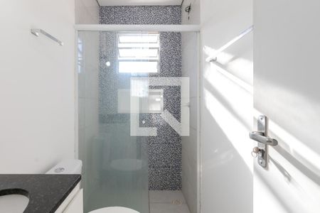 Banheiro de apartamento para alugar com 2 quartos, 38m² em Vila das Belezas, São Paulo