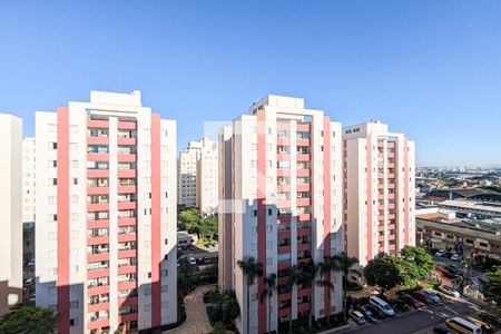 Vista da varanda de apartamento para alugar com 3 quartos, 80m² em Planalto, São Bernardo do Campo
