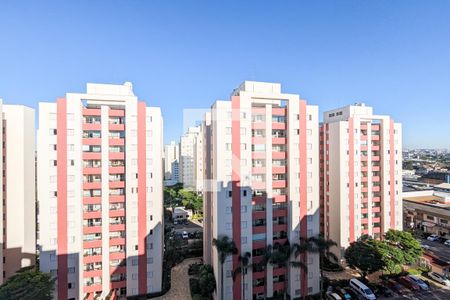 Apartamento à venda com 80m², 3 quartos e 1 vaga Apartamento à venda com 80m², 3 quartos e 1 vagaVista do quarto 1