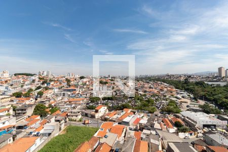Vista da Varanda de apartamento à venda com 3 quartos, 76m² em Vila Laís, São Paulo