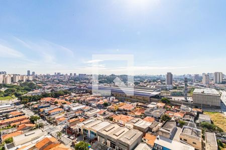 Vista de apartamento para alugar com 1 quarto, 31m² em Vila Sônia, São Paulo