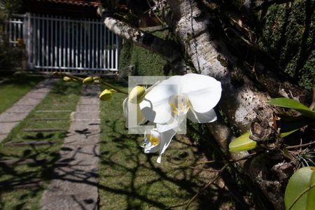 Casa à venda com 750m², 3 quartos e 2 vagas Casa à venda com 750m², 3 quartos e 2 vagasÁrea Externa