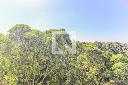 Apartamento à venda com 350m², 4 quartos e 3 vagasVaranda Suíte 1