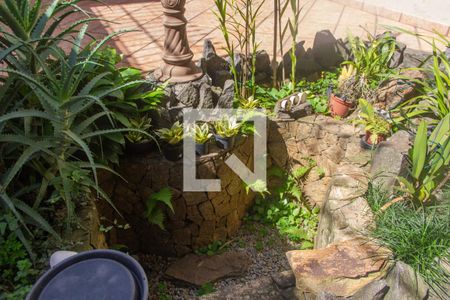 Casa à venda com 220m², 4 quartos e 3 vagasQuintal - detalhe