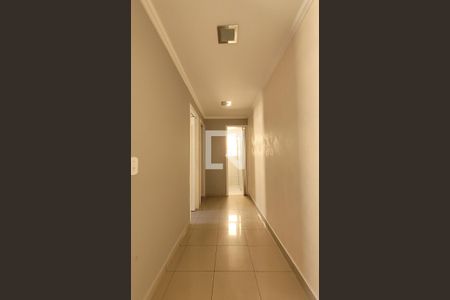 Corredor de apartamento para alugar com 2 quartos, 49m² em Parque das Nações, Santo André