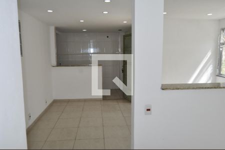 Sala de apartamento para alugar com 2 quartos, 55m² em Riachuelo, Rio de Janeiro