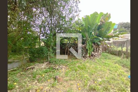 Casa à venda com 385m², 2 quartos e 1 vagaQuintal