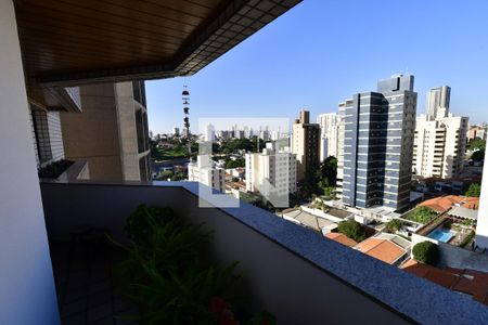 Vista da Sacada da Sala de apartamento à venda com 4 quartos, 165m² em Cambuí, Campinas