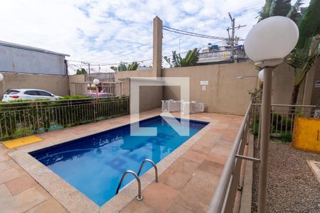 Área comum - Piscina de apartamento para alugar com 2 quartos, 50m² em Jardim Matarazzo, São Paulo