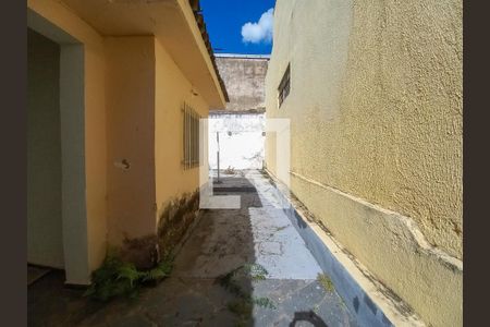 Casa à venda com 180m², 3 quartos e 1 vaga Casa à venda com 180m², 3 quartos e 1 vagaÁrea Externa