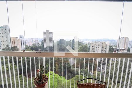 Vista da Varanda de apartamento para alugar com 2 quartos, 273m² em Paraisópolis, São Paulo