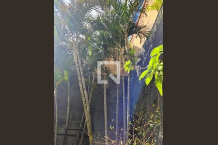 Casa à venda com 387m², 6 quartos e 6 vagas Casa à venda com 387m², 6 quartos e 6 vagasFoto 56