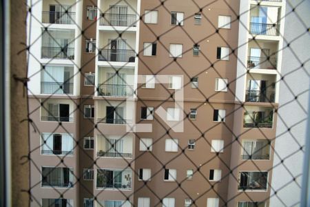Vista Quarto 1 de apartamento à venda com 3 quartos, 72m² em Nova Petrópolis, São Bernardo do Campo
