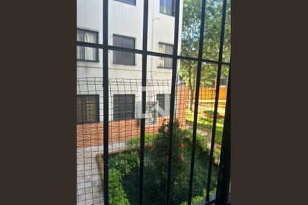 Vista Sala de apartamento para alugar com 2 quartos, 55m² em Jardim Raposo Tavares, São Paulo