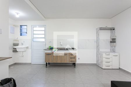 Studio de apartamento para alugar com 1 quarto, 18m² em Vila Aricanduva, São Paulo